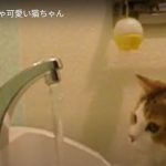 キャプチャ