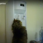 キャプチャ