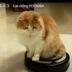 キャプチャ