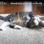 キャプチャ