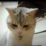 キャプチャ