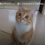 キャプチャ