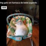 キャプチャ