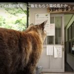 キャプチャ