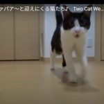 キャプチャ