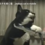 キャプチャ