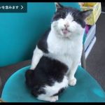 キャプチャ