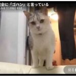 キャプチャ