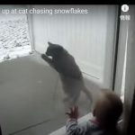 キャプチャ