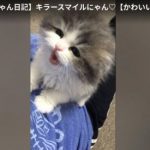キャプチャ