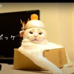キャプチャ
