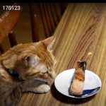キャプチャ