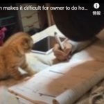 キャプチャ