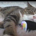 キャプチャ