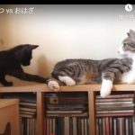 キャプチャ