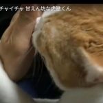 キャプチャ