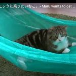 キャプチャ