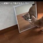 キャプチャ