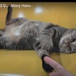 キャプチャ