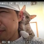 キャプチャ