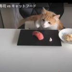 キャプチャ