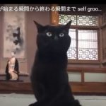 キャプチャ