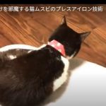 キャプチャ