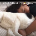 キャプチャ
