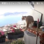 キャプチャ
