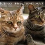 キャプチャ