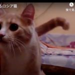 キャプチャ