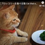 キャプチャ
