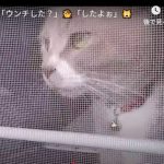 キャプチャ