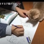 キャプチャ