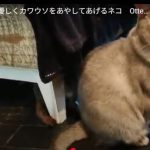 キャプチャ