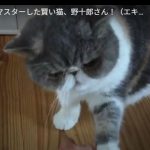 キャプチャ