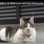 キャプチャ