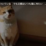 キャプチャ