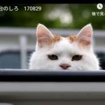 キャプチャ