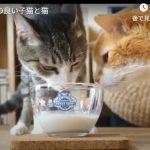 キャプチャ