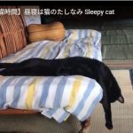 キャプチャ