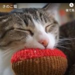 キャプチャ