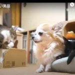 キャプチャ