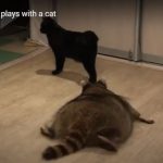 キャプチャ