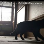 キャプチャ