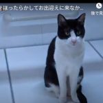 キャプチャ