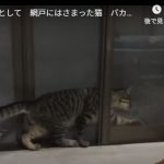 キャプチャ