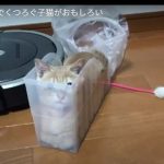キャプチャ