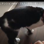 キャプチャ