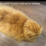 キャプチャ